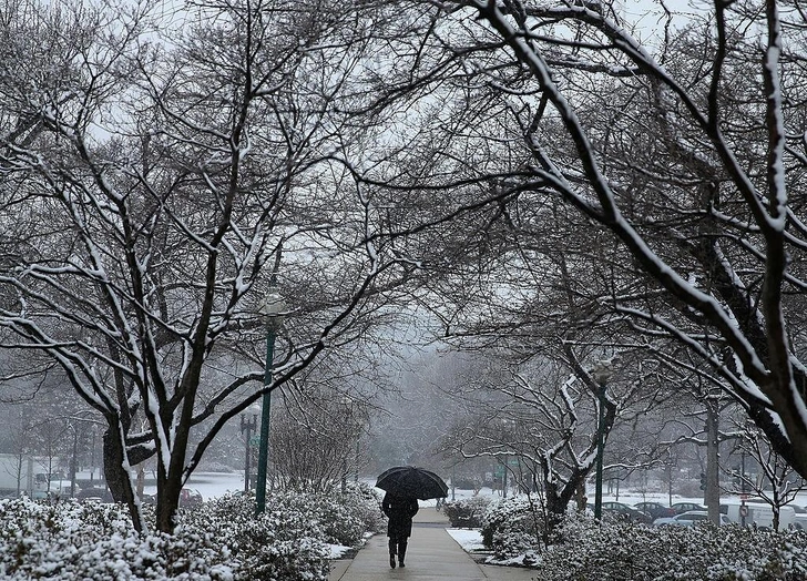 Февраль во сне | Источник: Getty