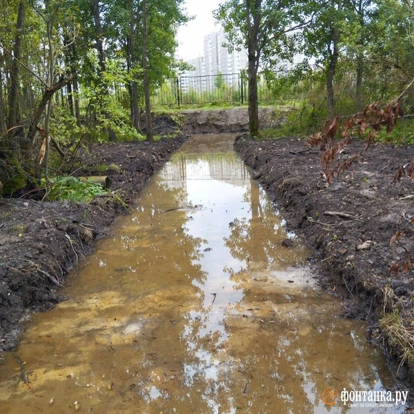 Источник: Ольга Ясененко