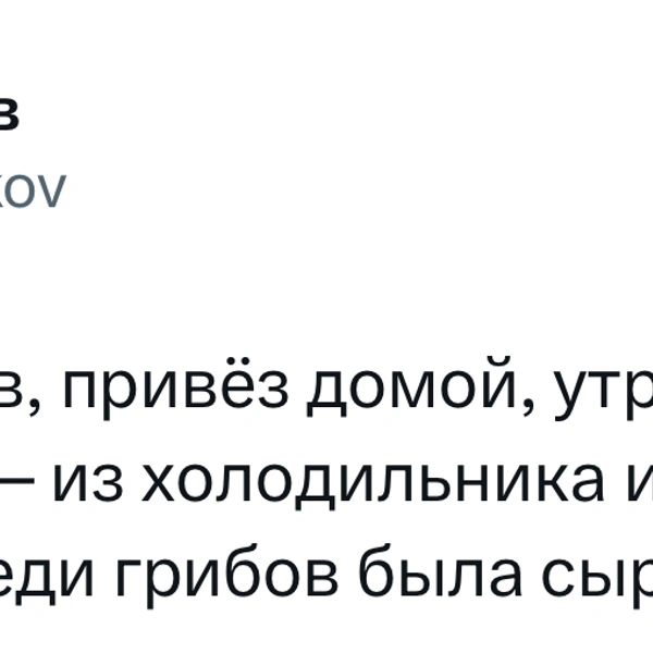 Источник: X (Twitter)