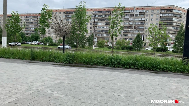 Источник: Полина Котышева / MGORSK.RU