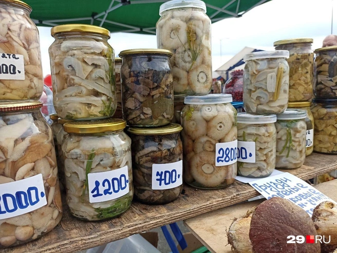 Источник: Иван Митюшёв / 29.RU