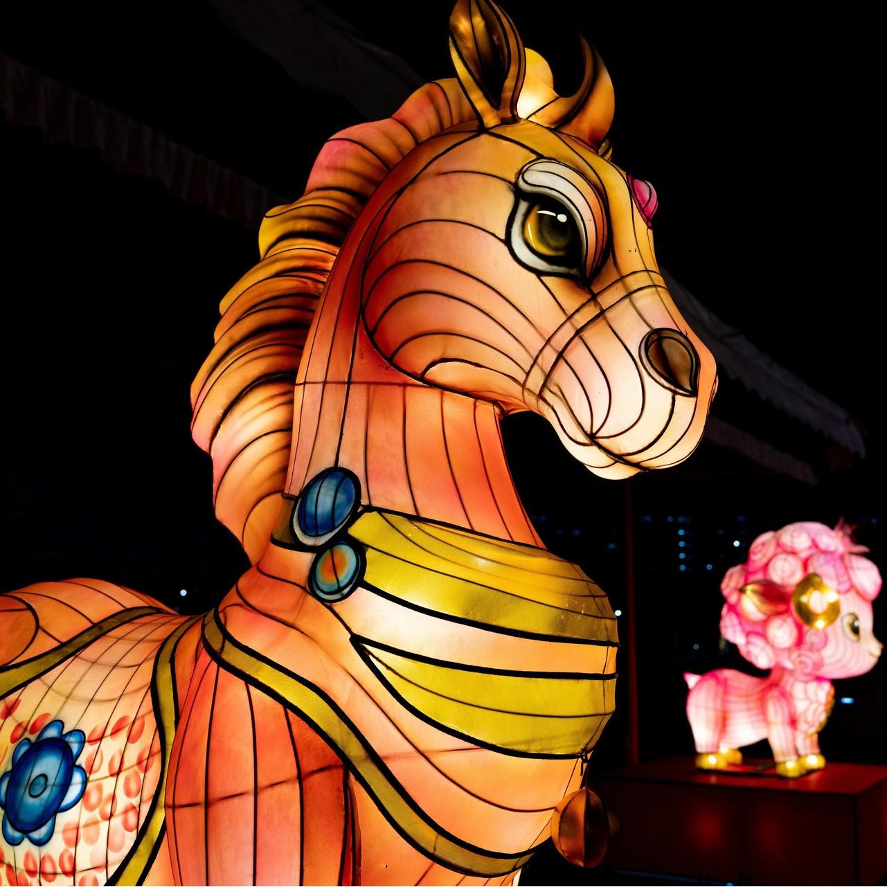 «Старые структуры треснут, и придет время крупных перемен»: Тамара Глоба о том, что несет 2026-й год Огненной Лошади