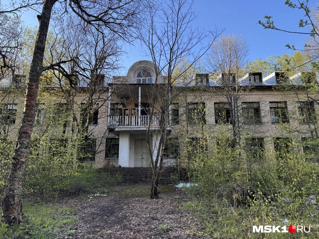 Источник: Алина Мельникова / MSK1.RU