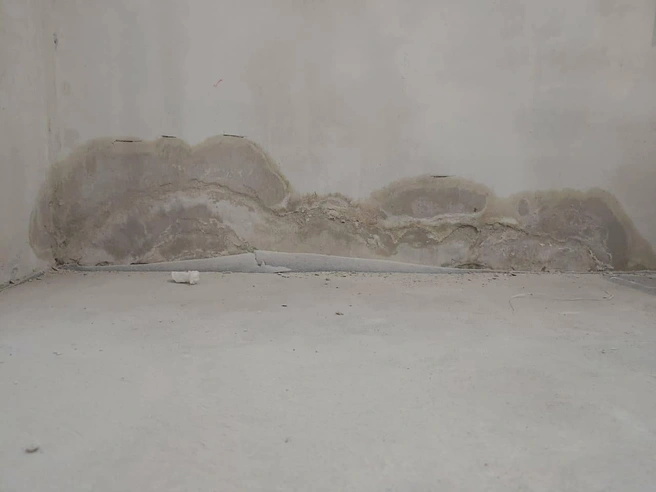 В квартире шумят окна во время ветра, а также видны сырые углы, пол и стены | Источник: читатели НГС