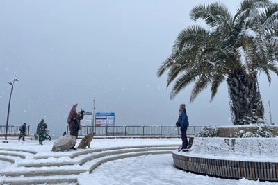 В Сочи прогнозируют обильный снег и похолодание