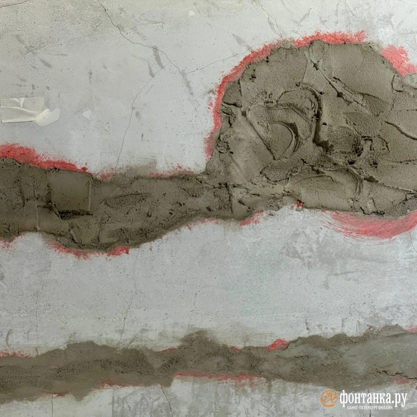 Источник: Марина Мамонтова/«Фонтанка.ру»