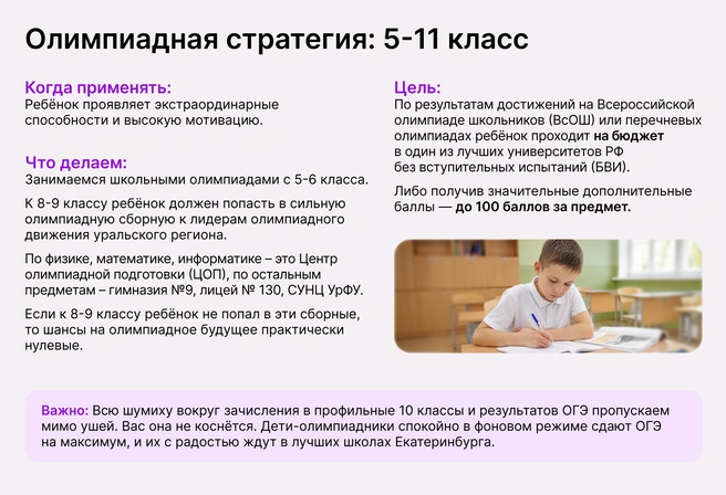 Нишевая, специфическая стратегия не для всех, требующая больших трудозатрат, но гарантирующая топовый результат | Источник: Ирина Калмыкова