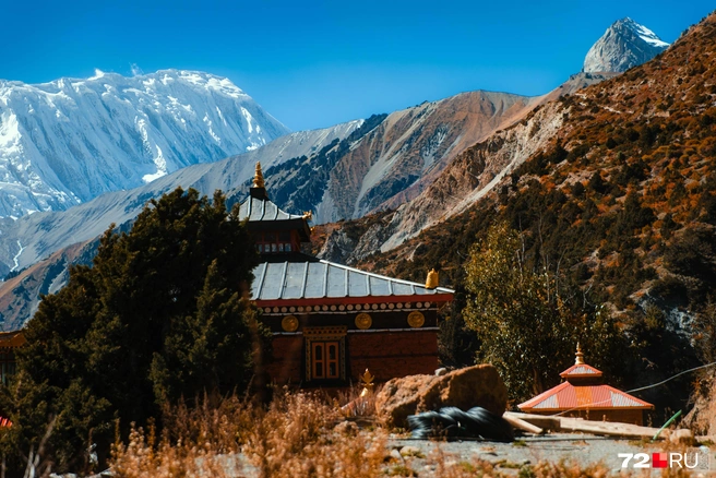 Источник: Екатерина Бурко