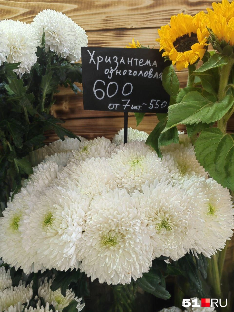 Источник: Юлия Кузнецова / 51.RU