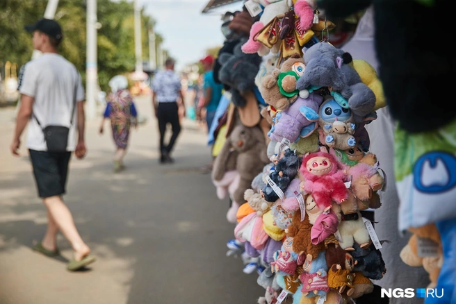 Работников из Шерегеша летом привлекают на работу в Яровое | Источник: Александр Ощепков / NGS.RU