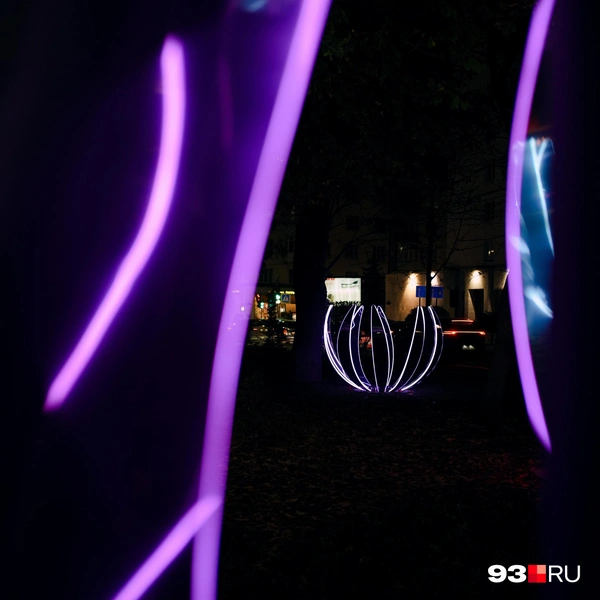 Вокруг, на газонах, установили лотосы | Источник: Дарья Паращенко / 93.RU