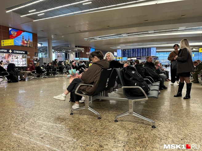 Показываем, какая сейчас обстановка в аэропорту Шереметьево после массированной атаки БПЛА | Источник: Андрей Кузнецов / MSK1.RU