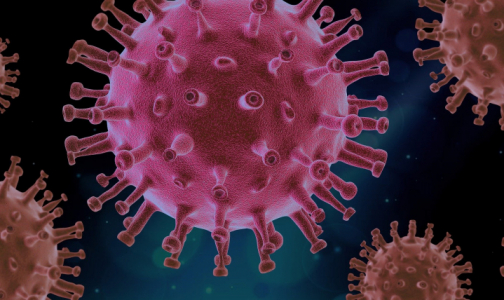 Биолог объяснила, почему люди стали идеальными «хозяевами» для вирусов