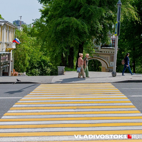 Источник: Елена Буйвол / VLADIVOSTOK1.RU