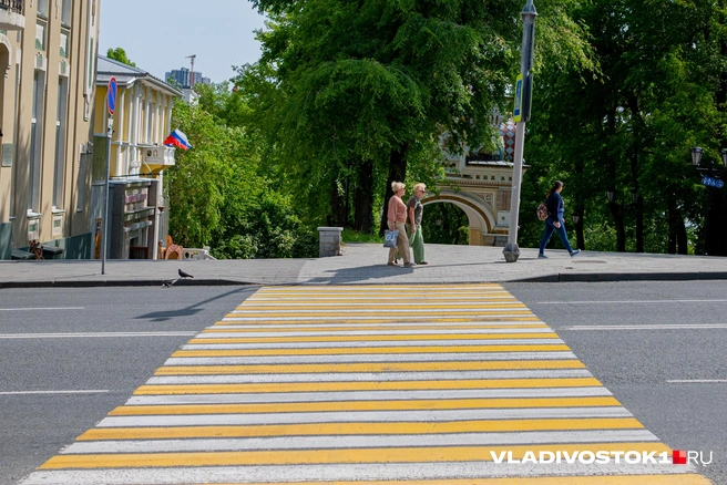 Источник: Елена Буйвол / VLADIVOSTOK1.RU