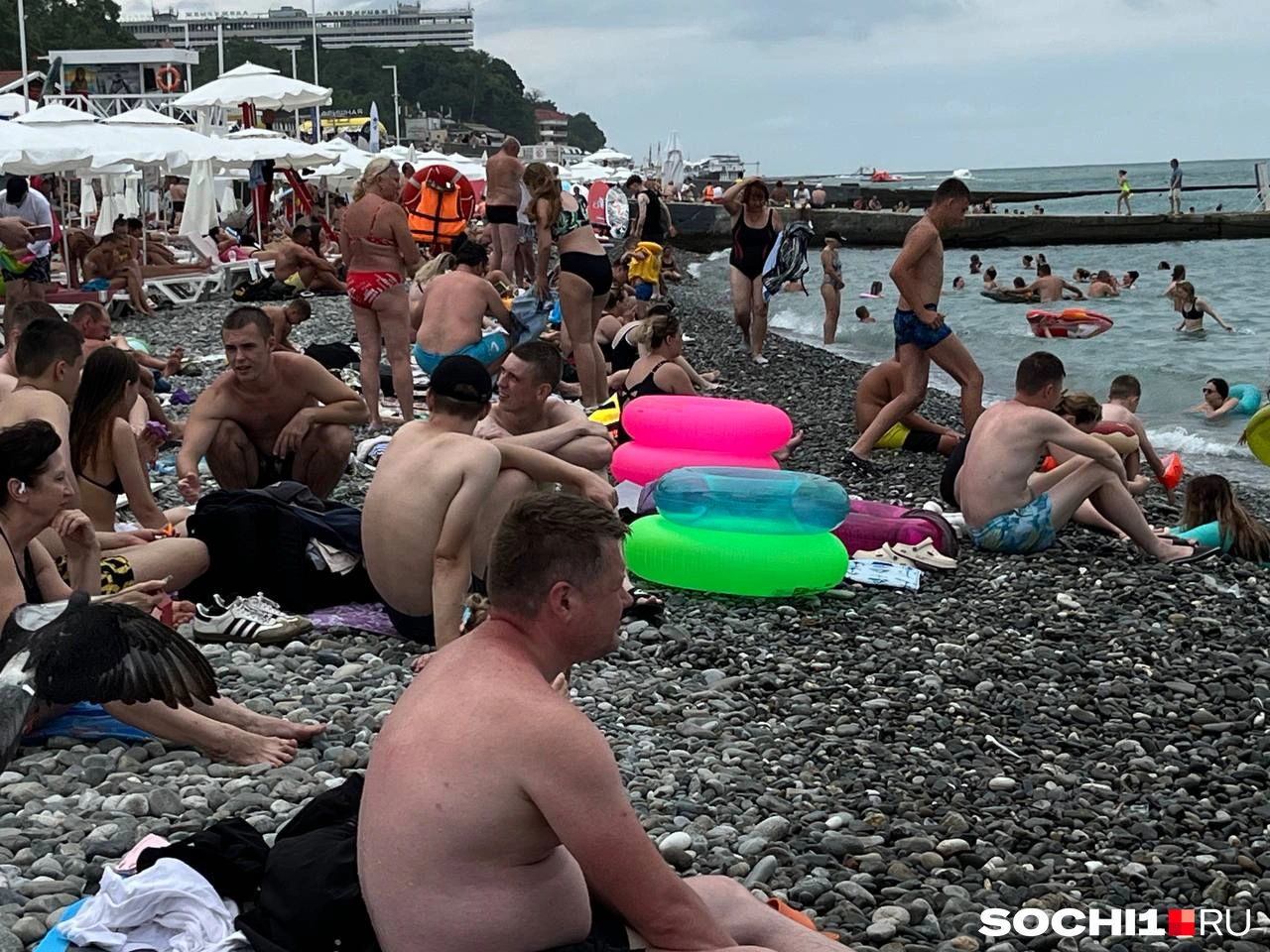 1280x960_1:5753_95e170452dd3d8351444cca9