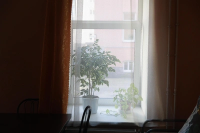 Secondary Housing Interest in Chita Rises 1% Over Year