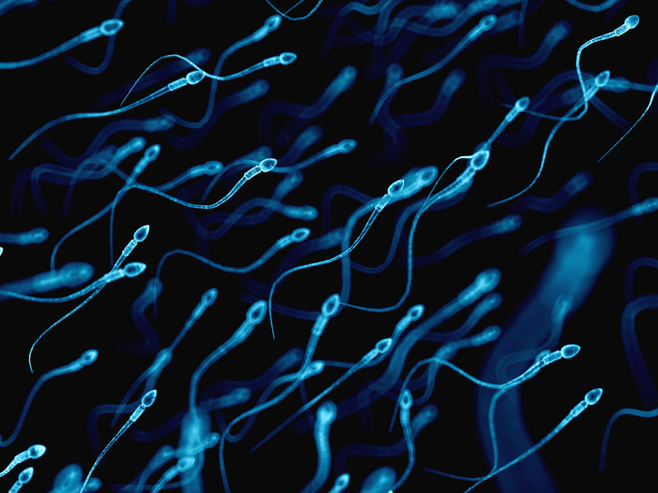 5 любопытных фактов о сперме, которые вы могли не знать
