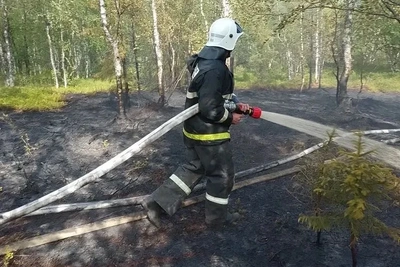 Под Омой произошло возгорание растительности