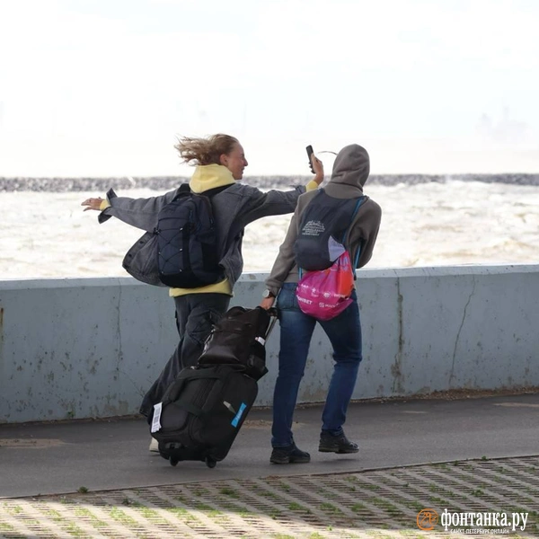 Источник: Сергей Михайличенко / «Фонтанка.ру»