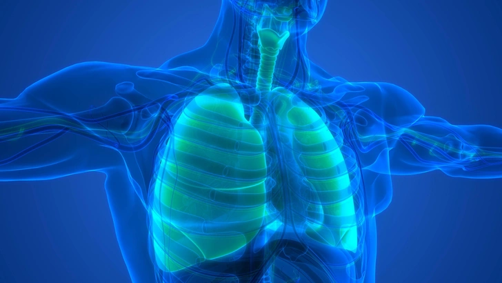 Человек прожил 48 часов без лёгких. Как это возможно?
