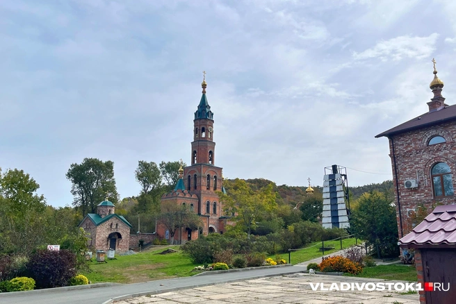 Здесь же есть бесплатный туалет | Источник: Елена Буйвол / VLADIVOSTOK1.RU