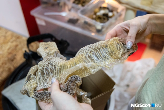 У шкуры много применений  | Источник: Мария Ленц / NGS24.RU