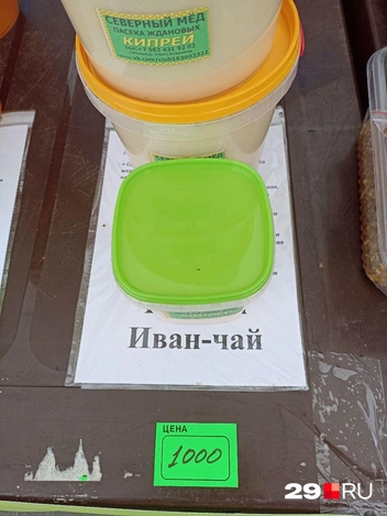Источник: Иван Митюшёв / 29.RU