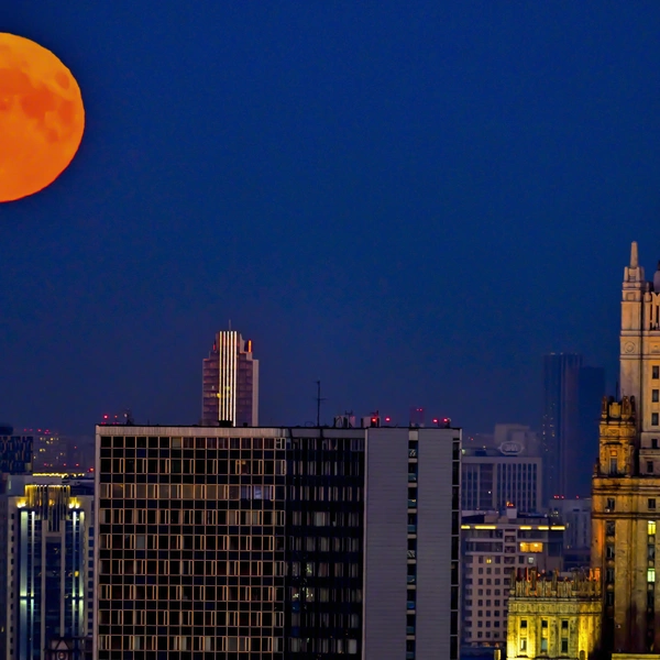 Россия, Москва | Источник: Sefa Karacan/Anadolu via Getty Images
