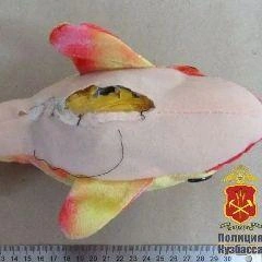 Источник: www.city-n.ru