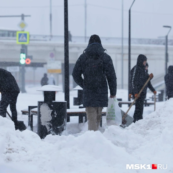 Источник: Дмитрий Толстошеев / MSK1.RU