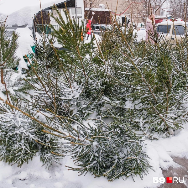 У «Агата» тоже развернулась торговля | Источник: Тимофей Калмаков / 59.RU