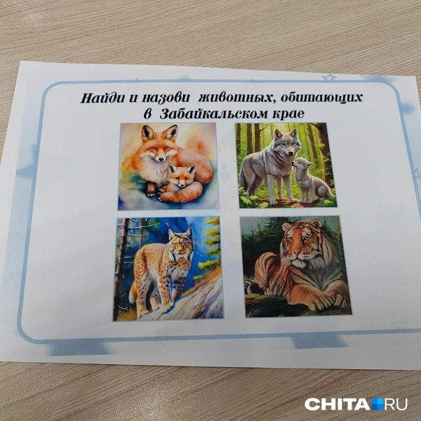 Источник: Дарья Кливенкова / CHITA.RU