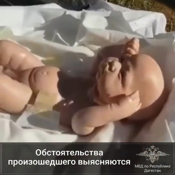 Похороны кукол: жительница Ставрополья имитировала беременность и смерть детей ради мужа