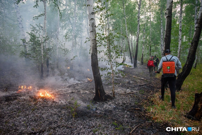 Всего с начала сезона зарегистрировали 239 лесных пожаров | Источник: Олег Фёдоров / CHITA.RU