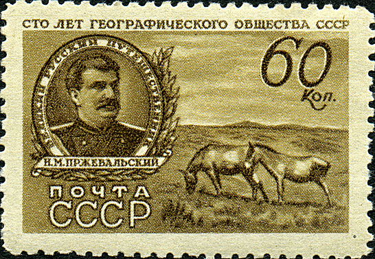 Печать клуба