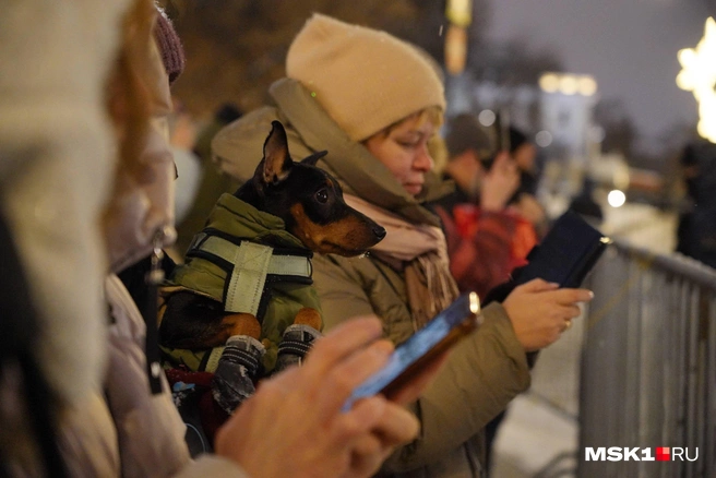 Источник: Артём Рамазани-Зубов / MSK1.RU