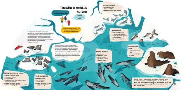 Новые имена: художник-иллюстратор Маша Вышинская