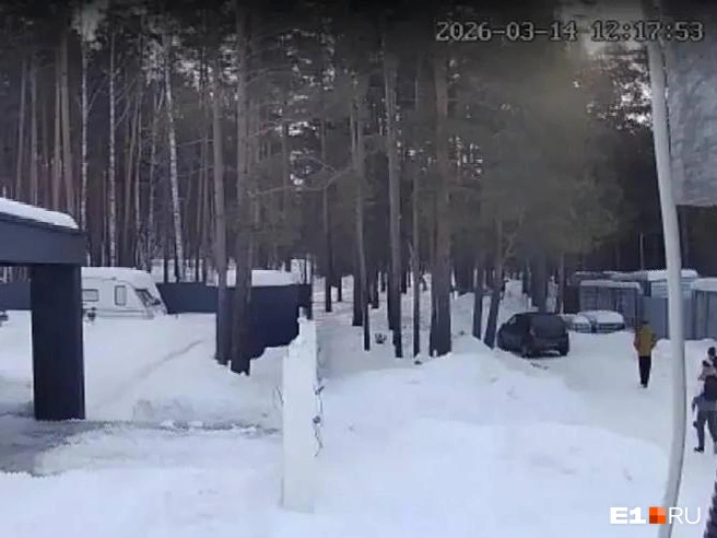 Автомобили подъезжают прямо к лесу | Источник: читатель E1.RU