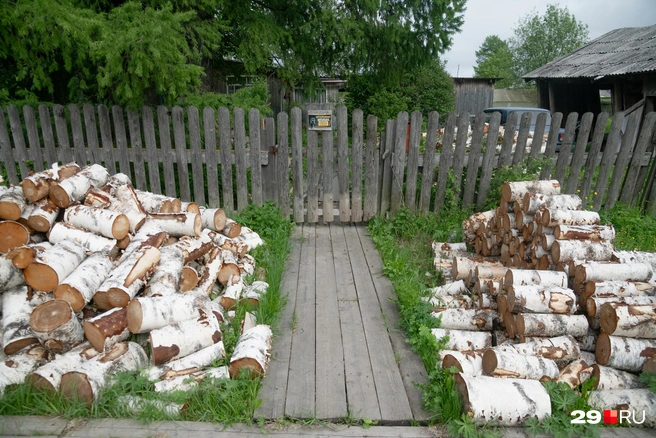 Источник: Иван Митюшёв / 29.RU 
