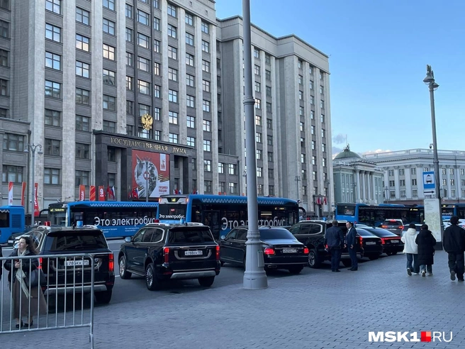 Источник: Вера Борисова / MSK1.RU