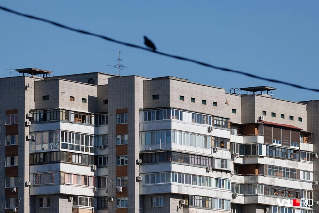 Эта часть Дзержинского района по-прежнему считается весьма престижной | Источник: Алексей Волхонский / V1.RU