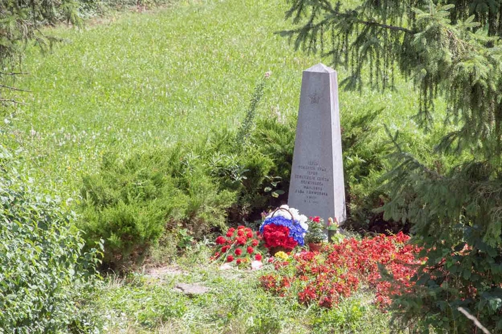 Могила Льва Маневича в Линце | Источник: memory-austria.at