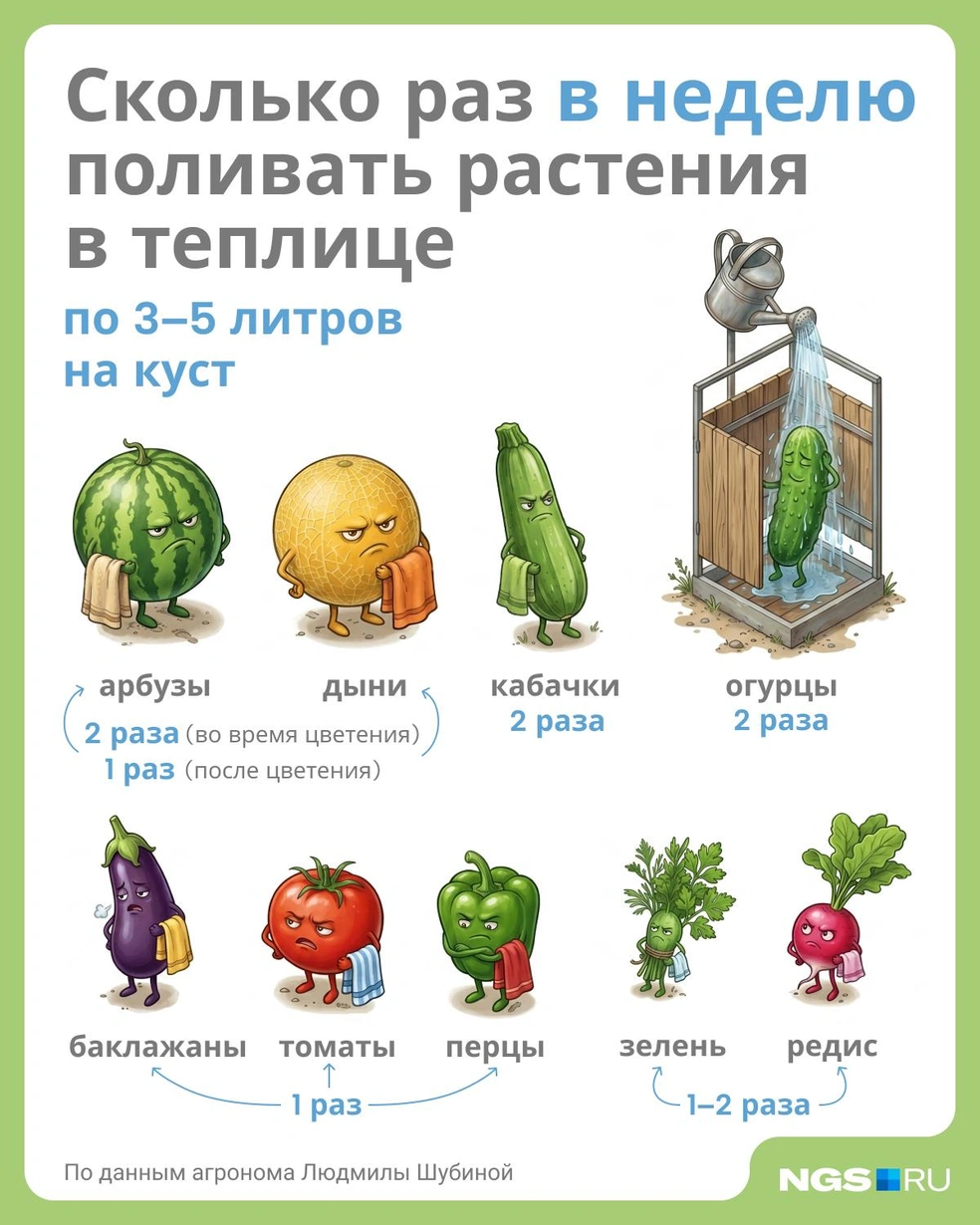 Источник: Юрий Орлов / Городские медиа