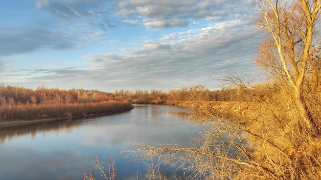 Источник: Ирина Голоколенова