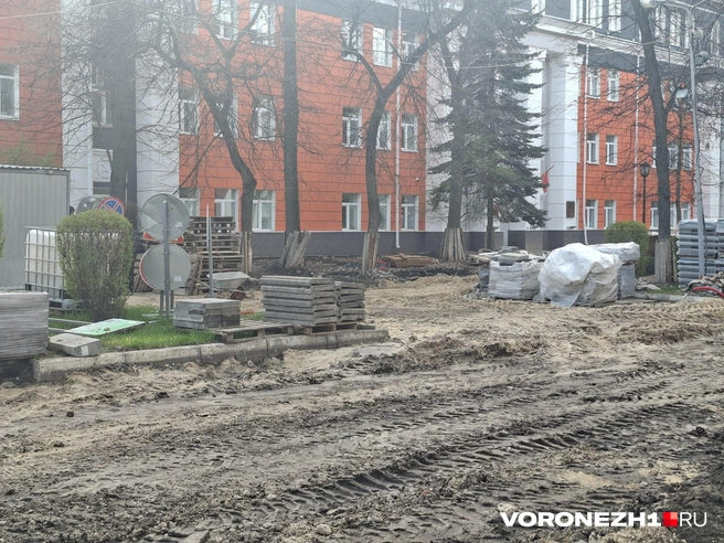 Стройматериалы разложены на остатках газона и вплотную к елям и другим деревьям | Источник: Алёна Воропаева / Voronezh1.ru