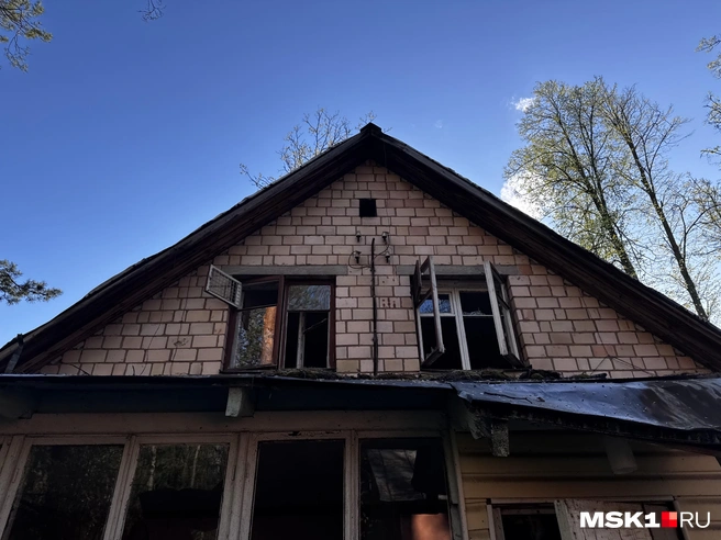 Источник: Алина Мельникова / MSK1.RU