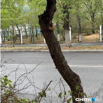 Источник: очевидец
