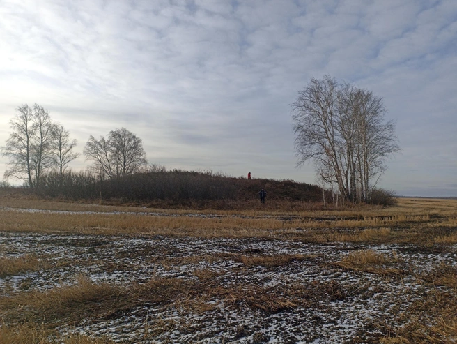 Любители географии осмотрели курган среди полей | Источник: Анна Сарапульцева / 45.RU