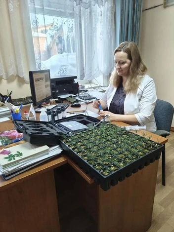 Изначально они выращивали овощи и цветы, но 7 лет назад переучились на растениеводов | Источник: Агрофирма «Ангара»